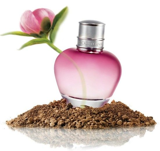 我的普罗旺斯私人礼物欧舒丹bestgiftforyou系列2