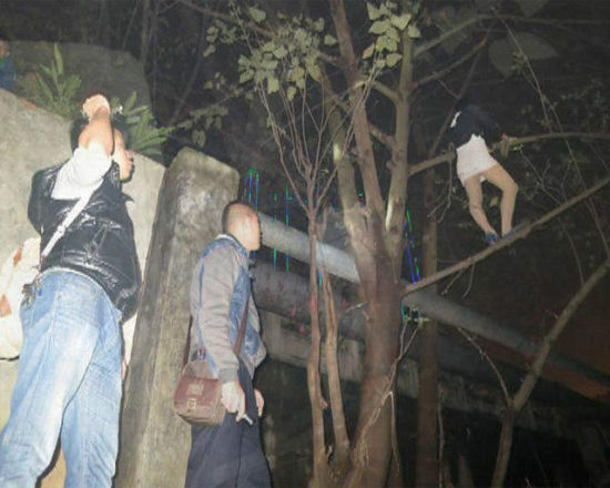 站街女遇民警爬树对峙 33人中有3人是男身