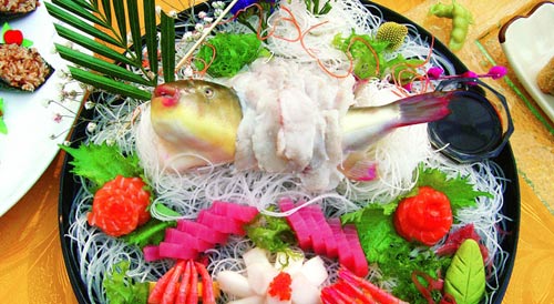 至鲜河豚食用秘笈(组图)