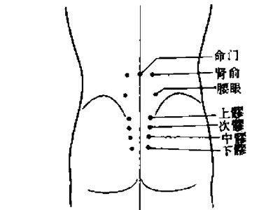 腰部位置示意图图片