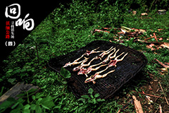 【看见】逃离"吃人"的野人山