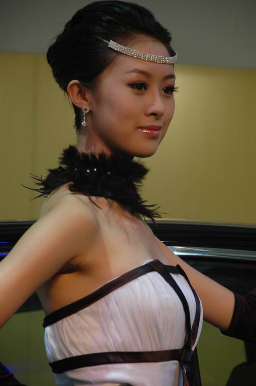 第12届哈尔滨车展美女图