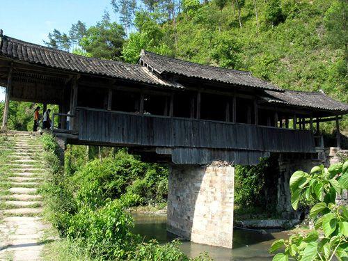 大山深处看泰顺 走进亚洲最长的"琴桥"