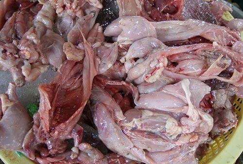 越南人爱吃老鼠肉 极品每斤可卖两美元(3)