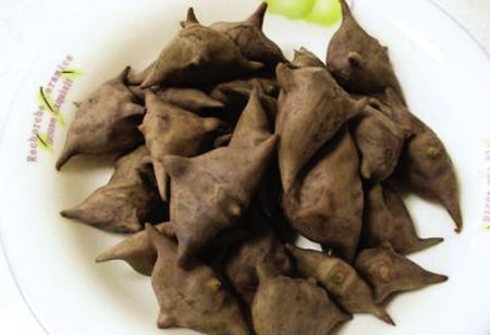 各有来历 白洋淀上话"三宝"