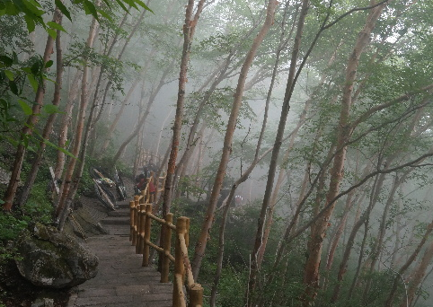 高山上流云葫芦丝动态曲谱(2)