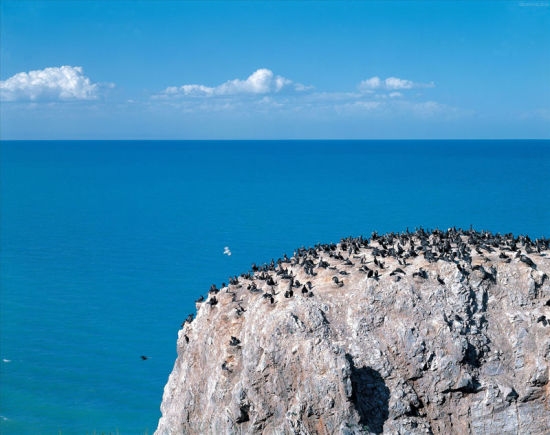 游览青海湖 海心山