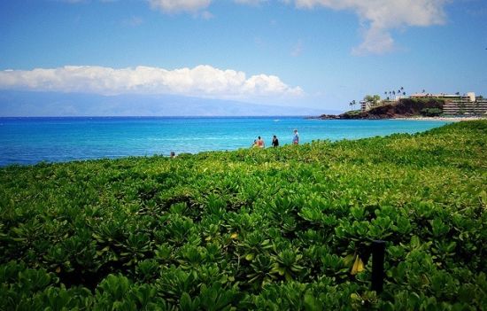 夏威夷茂宜島景點攻略