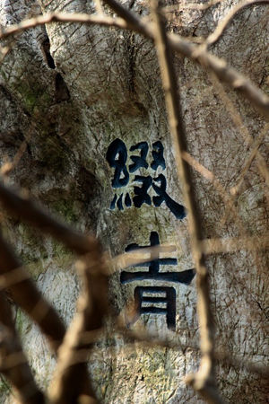 属于无锡的江南园林 细数锡城各色公园