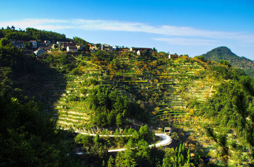 天台山头下村图片