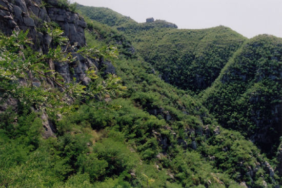 别具一格的自然氧吧 徐州环城国家森林公园
