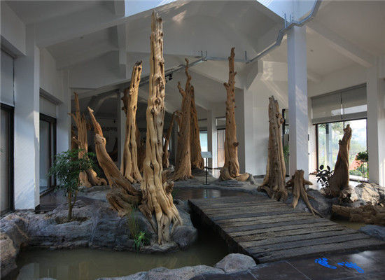 太湖古木艺术馆图片