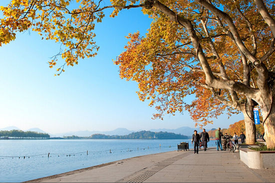 杭州秋天阳光正好 去压压这美到极致的6条马路(组图)