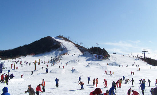 旅顺新开的滑雪场图片