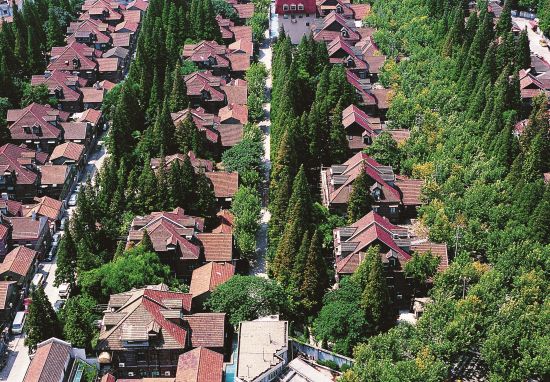 慢游溧阳路 一脚踏进名人的前尘旧事