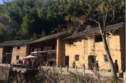 浦江约你寻访诗情画意花痴画痴们看过来组图2