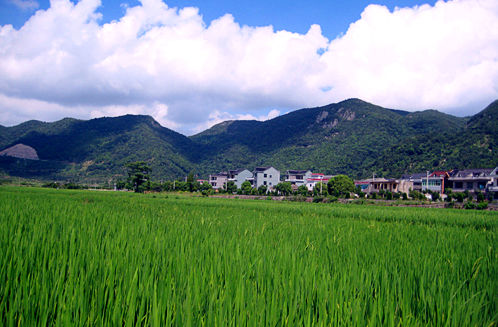 寧波美麗鄉村 象山泗洲頭鎮