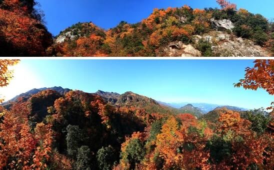 據悉,四川光霧山旅遊發展有限公司為進一步貫徹市委在2016全市旅遊