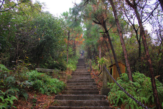 走进景德镇冷水尖领略仙境之美