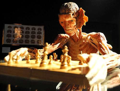 聚精会神是风情还是恐怖真人人体标本