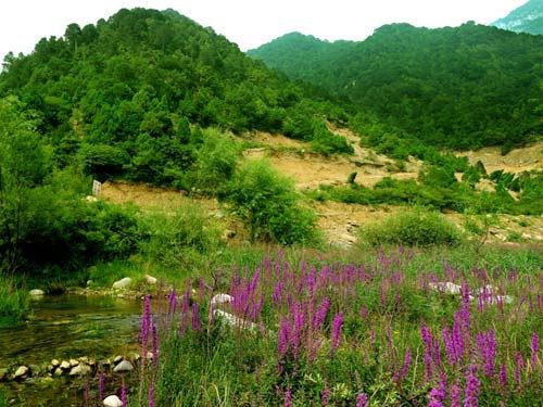 石膏山:綠色明珠四大美景(組圖)(2)