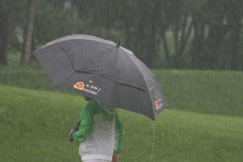 雨中伞道怎么搭_雨中的伞图片(2)