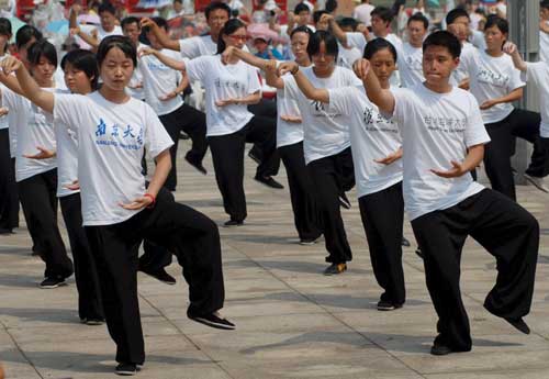 图文-两岸大学生打太极迎奥运 全副武装练太极