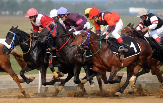 图文中国速度赛马公开赛900米决赛骑手争先恐后