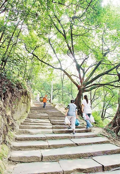 在鐵山坪登山步道,歌樂山登山步道現場感受之後,考察團成員讚歎不已: